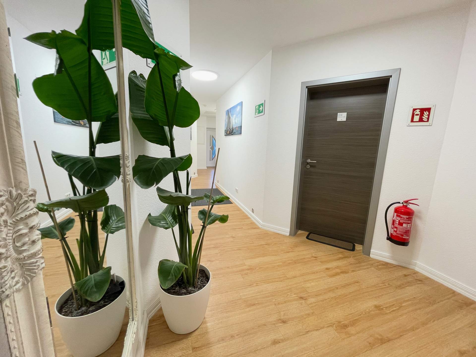Flur mit Pflanzen der Pension ElbKate in Glückstadt